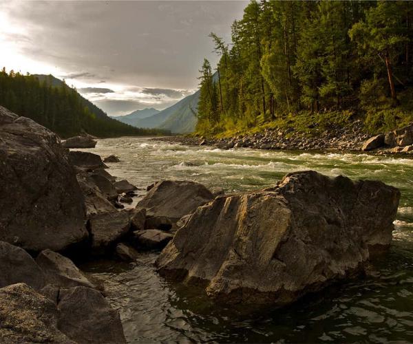 Integrate clicks method