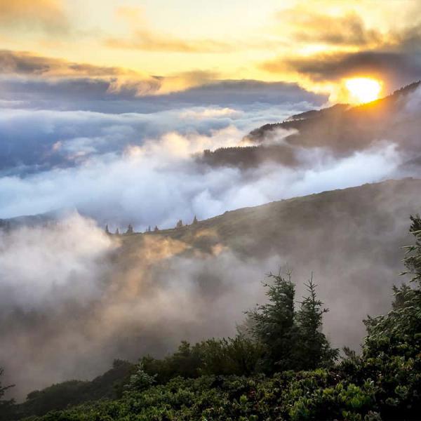 Your Morning Briefing